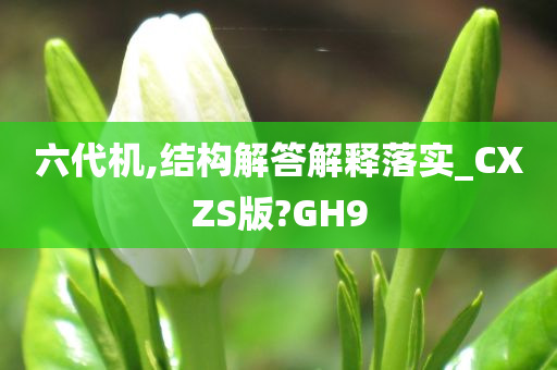 六代机,结构解答解释落实_CXZS版?GH9