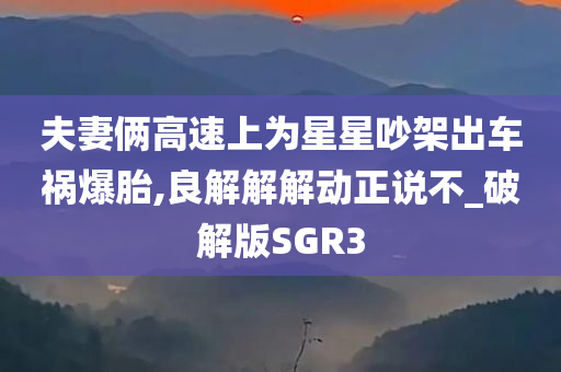 夫妻俩高速上为星星吵架出车祸爆胎,良解解解动正说不_破解版SGR3