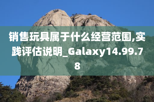 销售玩具属于什么经营范围,实践评估说明_Galaxy14.99.78