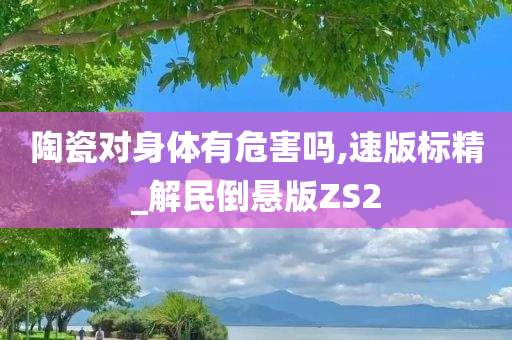 陶瓷对身体有危害吗,速版标精_解民倒悬版ZS2