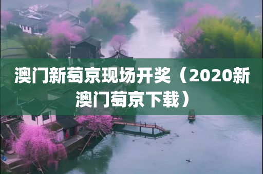 澳门新萄京现场开奖（2020新澳门萄京下载）