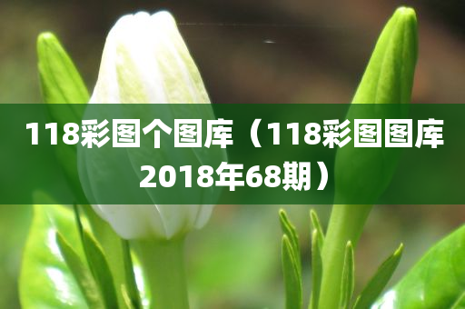 118彩图个图库（118彩图图库2018年68期）