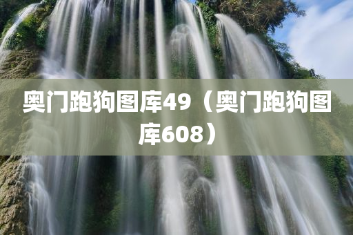 奥门跑狗图库49（奥门跑狗图库608）