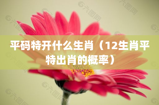 平码特开什么生肖（12生肖平特出肖的概率）