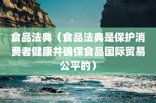 食品法典（食品法典是保护消费者健康并确保食品国际贸易公平的）