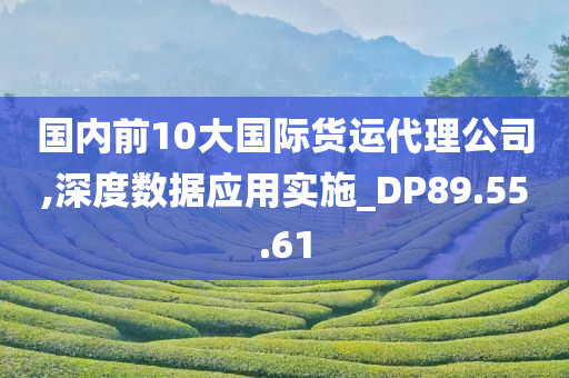 国内前10大国际货运代理公司,深度数据应用实施_DP89.55.61