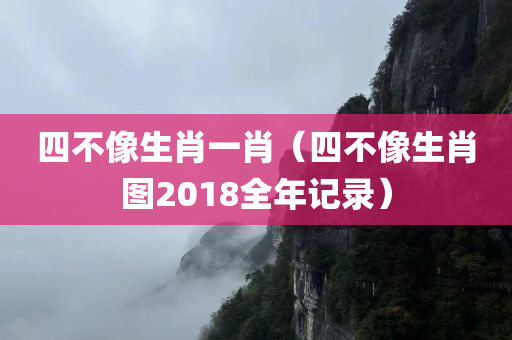 四不像生肖一肖（四不像生肖图2018全年记录）