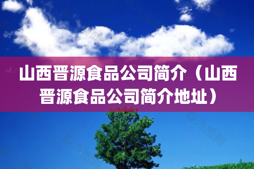 山西晋源食品公司简介（山西晋源食品公司简介地址）