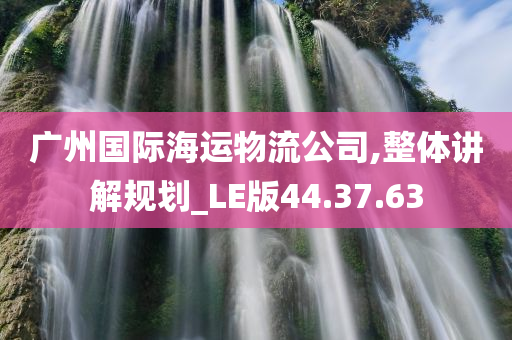 广州国际海运物流公司,整体讲解规划_LE版44.37.63