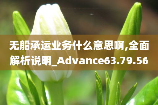 无船承运业务什么意思啊,全面解析说明_Advance63.79.56