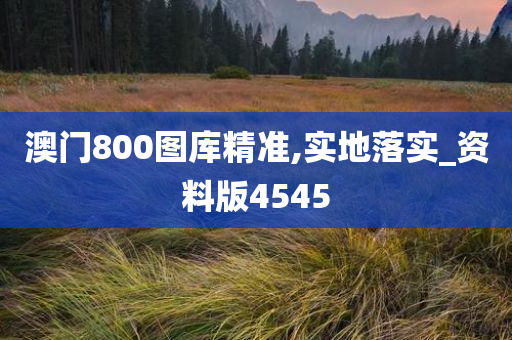 澳门800图库精准,实地落实_资料版4545