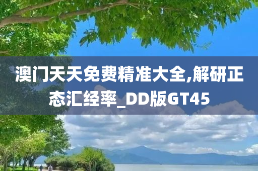 澳门天天免费精准大全,解研正态汇经率_DD版GT45