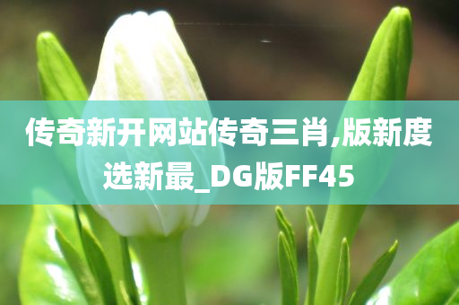 传奇新开网站传奇三肖,版新度选新最_DG版FF45