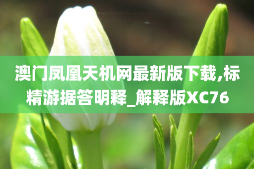 澳门凤凰天机网最新版下载,标精游据答明释_解释版XC76