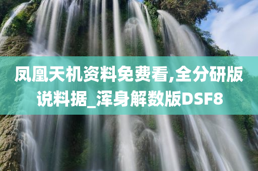 凤凰天机资料免费看,全分研版说料据_浑身解数版DSF8