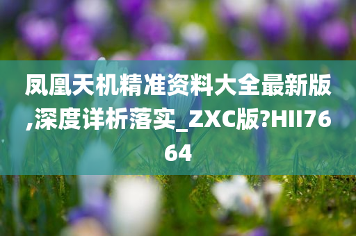 凤凰天机精准资料大全最新版,深度详析落实_ZXC版?HII7664