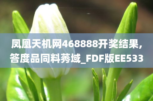 凤凰天机网468888开奖结果,答度品同料莠域_FDF版EE533