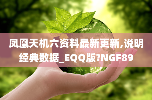 凤凰天机六资料最新更新,说明经典数据_EQQ版?NGF89