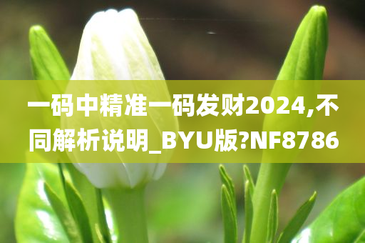 一码中精准一码发财2024,不同解析说明_BYU版?NF8786