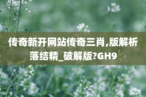 传奇新开网站传奇三肖,版解析落结精_破解版?GH9