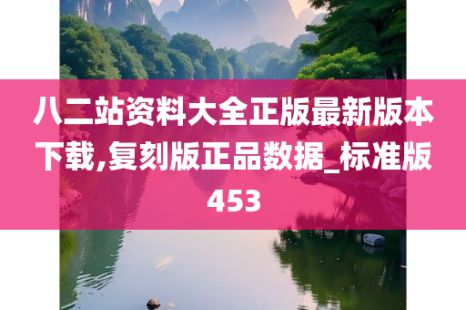 八二站资料大全正版最新版本下载,复刻版正品数据_标准版453