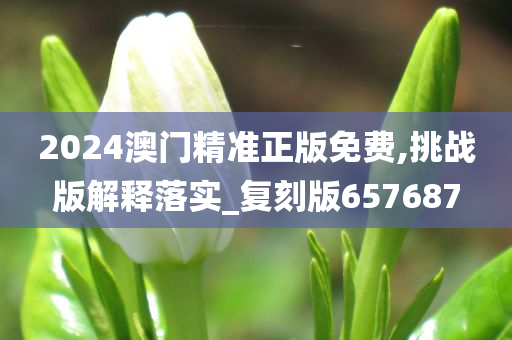 2024澳门精准正版免费,挑战版解释落实_复刻版657687