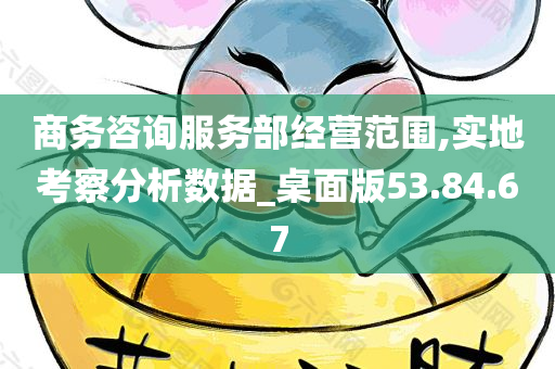 商务咨询服务部经营范围,实地考察分析数据_桌面版53.84.67