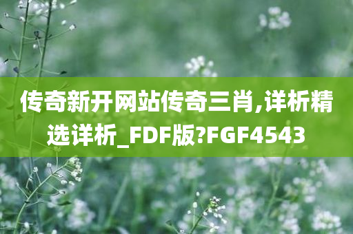 传奇新开网站传奇三肖,详析精选详析_FDF版?FGF4543