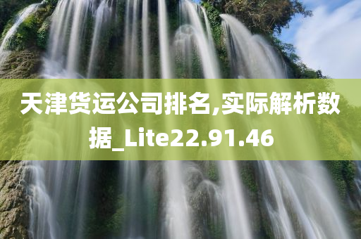 天津货运公司排名,实际解析数据_Lite22.91.46