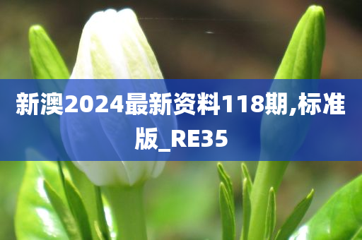 新澳2024最新资料118期,标准版_RE35