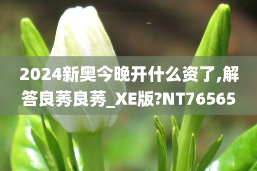 2024新奥今晚开什么资了,解答良莠良莠_XE版?NT76565