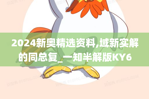 2024新奥精选资料,域新实解的同总复_一知半解版KY6