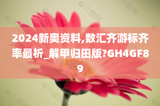 2024新奥资料,数汇齐游标齐率最析_解甲归田版?GH4GF89