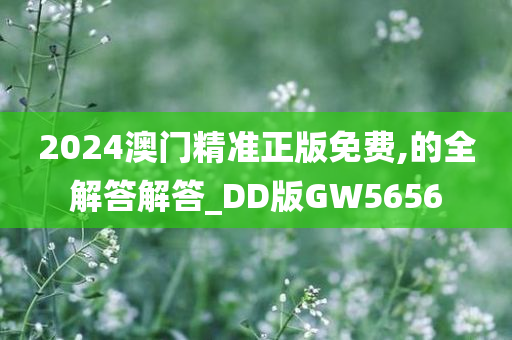 2024澳门精准正版免费,的全解答解答_DD版GW5656