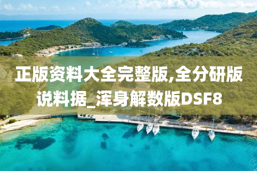 正版资料大全完整版,全分研版说料据_浑身解数版DSF8