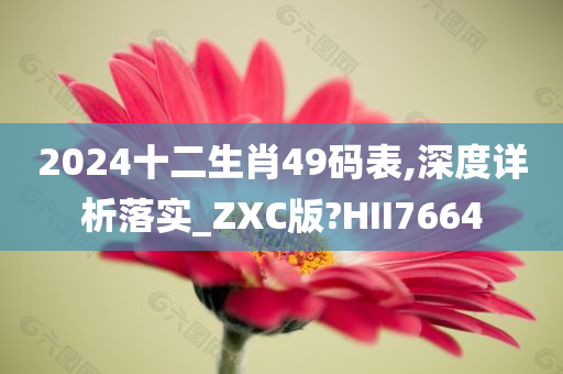 2024十二生肖49码表,深度详析落实_ZXC版?HII7664