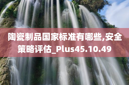 陶瓷制品国家标准有哪些,安全策略评估_Plus45.10.49