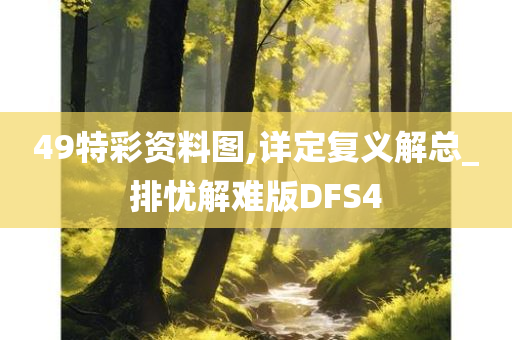 49特彩资料图,详定复义解总_排忧解难版DFS4