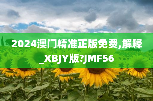 2024澳门精准正版免费,解释_XBJY版?JMF56