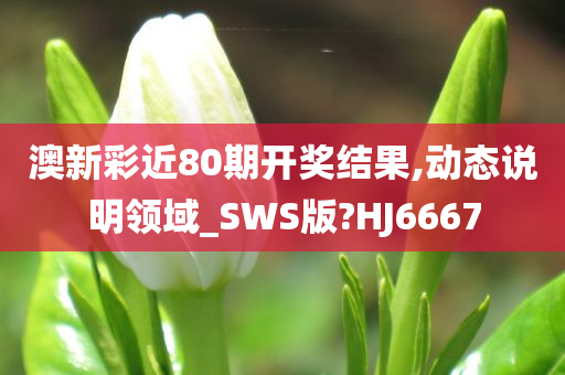 澳新彩近80期开奖结果,动态说明领域_SWS版?HJ6667