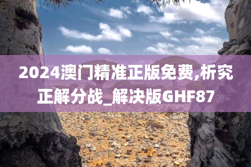 2024澳门精准正版免费,析究正解分战_解决版GHF87