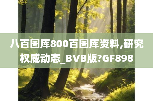 八百图库800百图库资料,研究权威动态_BVB版?GF898