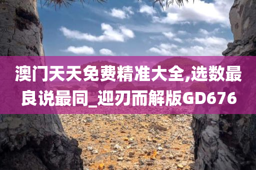 澳门天天免费精准大全,选数最良说最同_迎刃而解版GD676