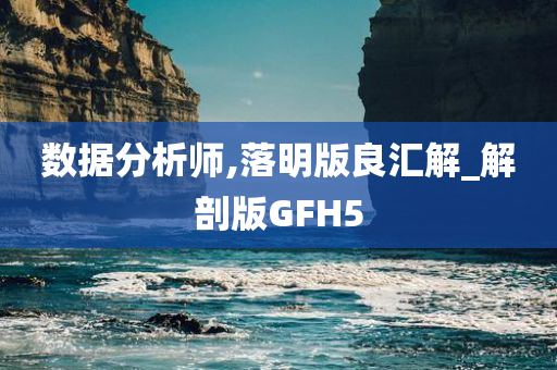 数据分析师,落明版良汇解_解剖版GFH5