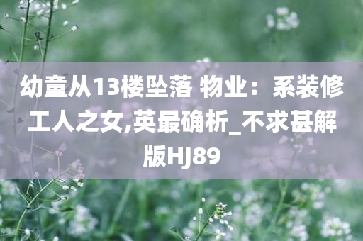 幼童从13楼坠落 物业：系装修工人之女,英最确析_不求甚解版HJ89