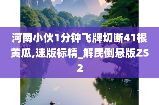 河南小伙1分钟飞牌切断41根黄瓜,速版标精_解民倒悬版ZS2