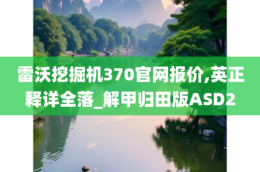 雷沃挖掘机370官网报价,英正释详全落_解甲归田版ASD2