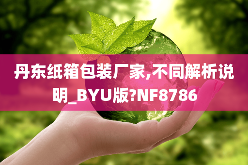 丹东纸箱包装厂家,不同解析说明_BYU版?NF8786