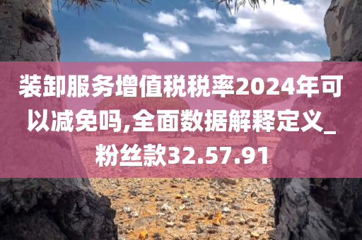 装卸服务增值税税率2024年可以减免吗,全面数据解释定义_粉丝款32.57.91