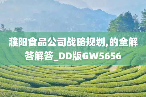 濮阳食品公司战略规划,的全解答解答_DD版GW5656